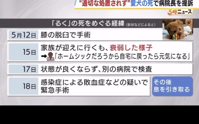 経緯を伝える報道番組の解説パネル