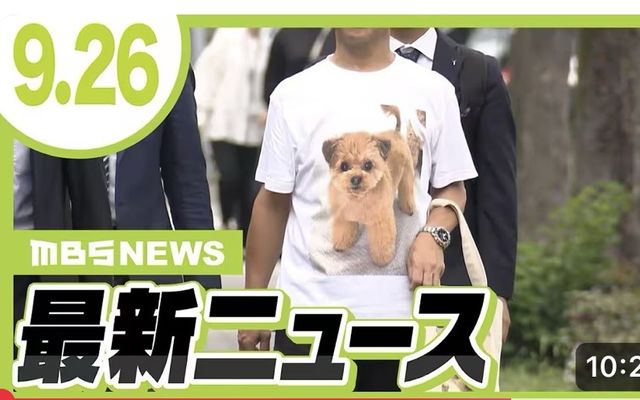 報道動画のサムネイル（MBS NEWS）