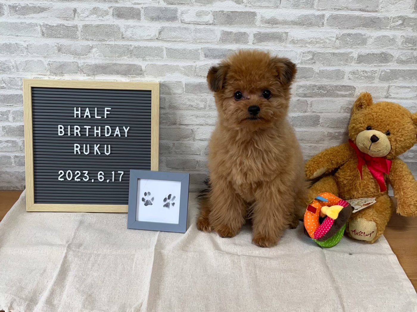生後6ヶ月の記念日。「HALF BIRTHDAY RUKU 2023.6.17」のボードと足形、くまのぬいぐるみと一緒に座るるく